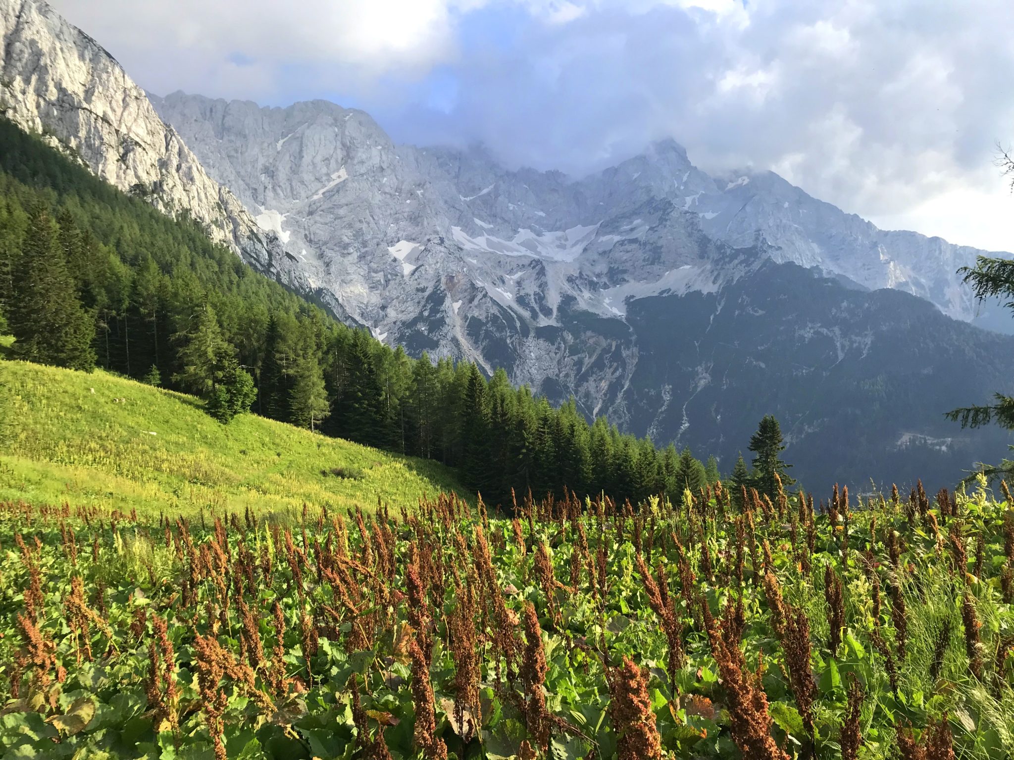 Hiking to Goli Vrh, the Kamnik-Savinja Alps, Slovenia