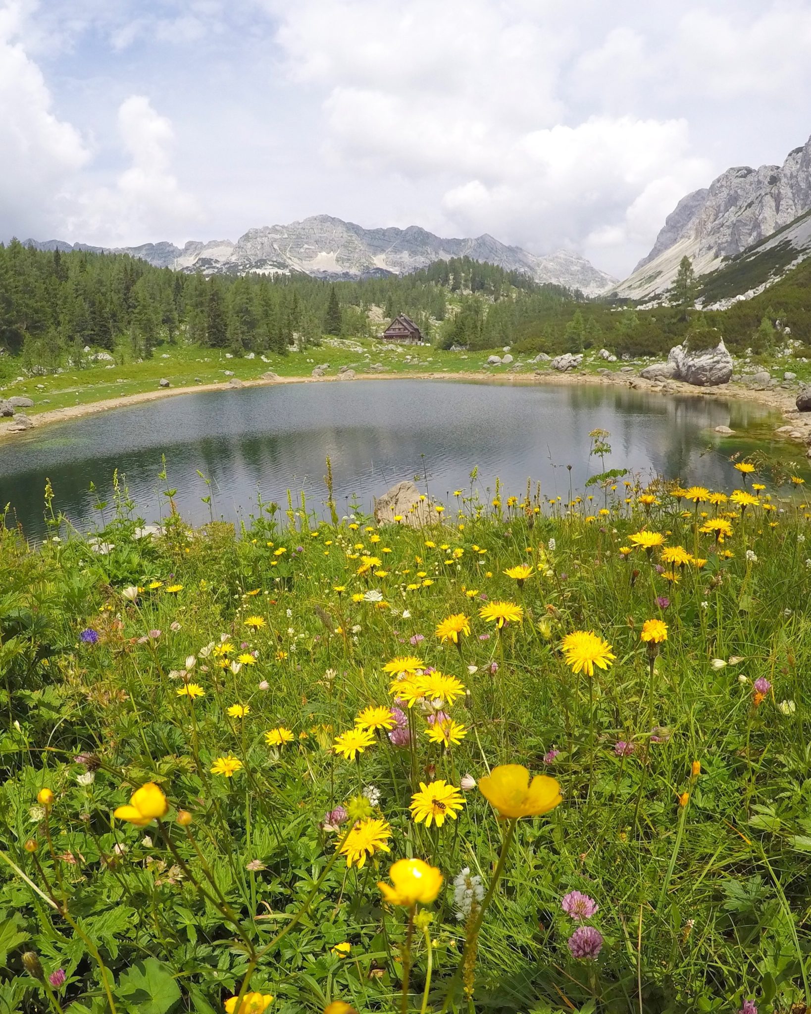 Triglav Lakes in summer, flowers