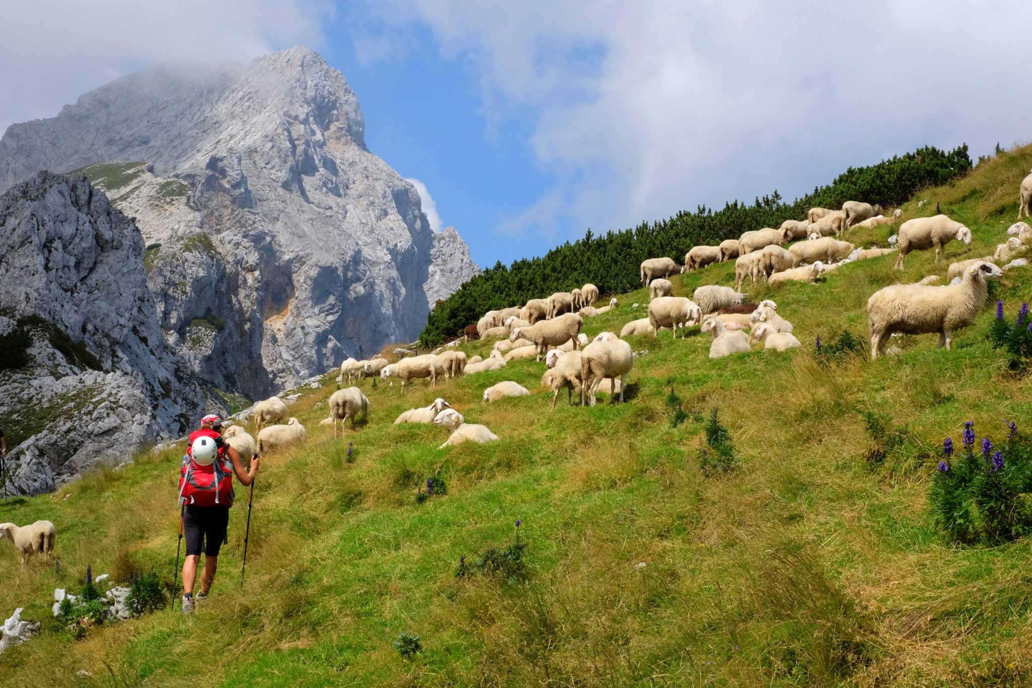 Hiking in the Kamnik-Savinja Alps, Ojstrica