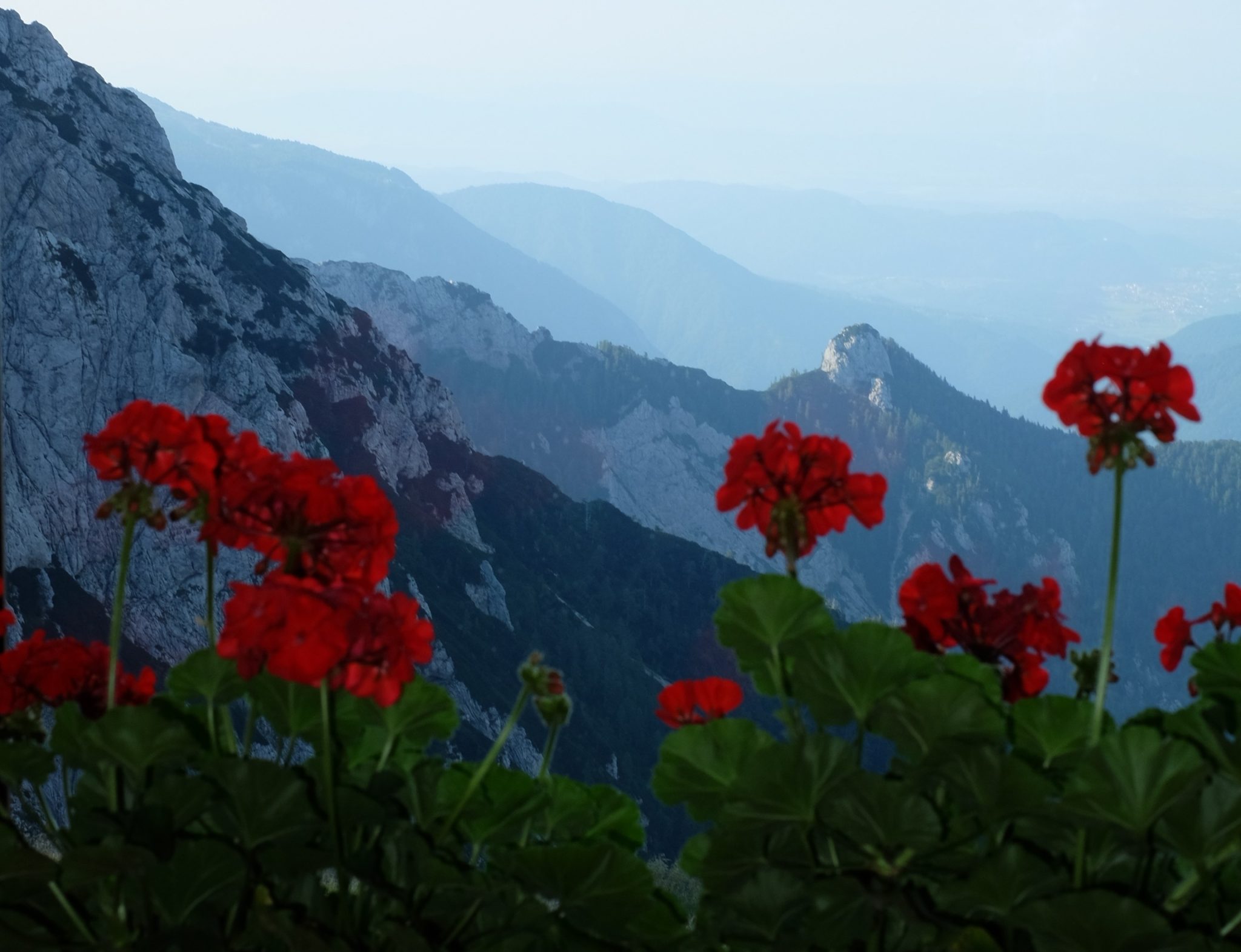 Morning view from the dining room in the Kamnik Saddle Hut