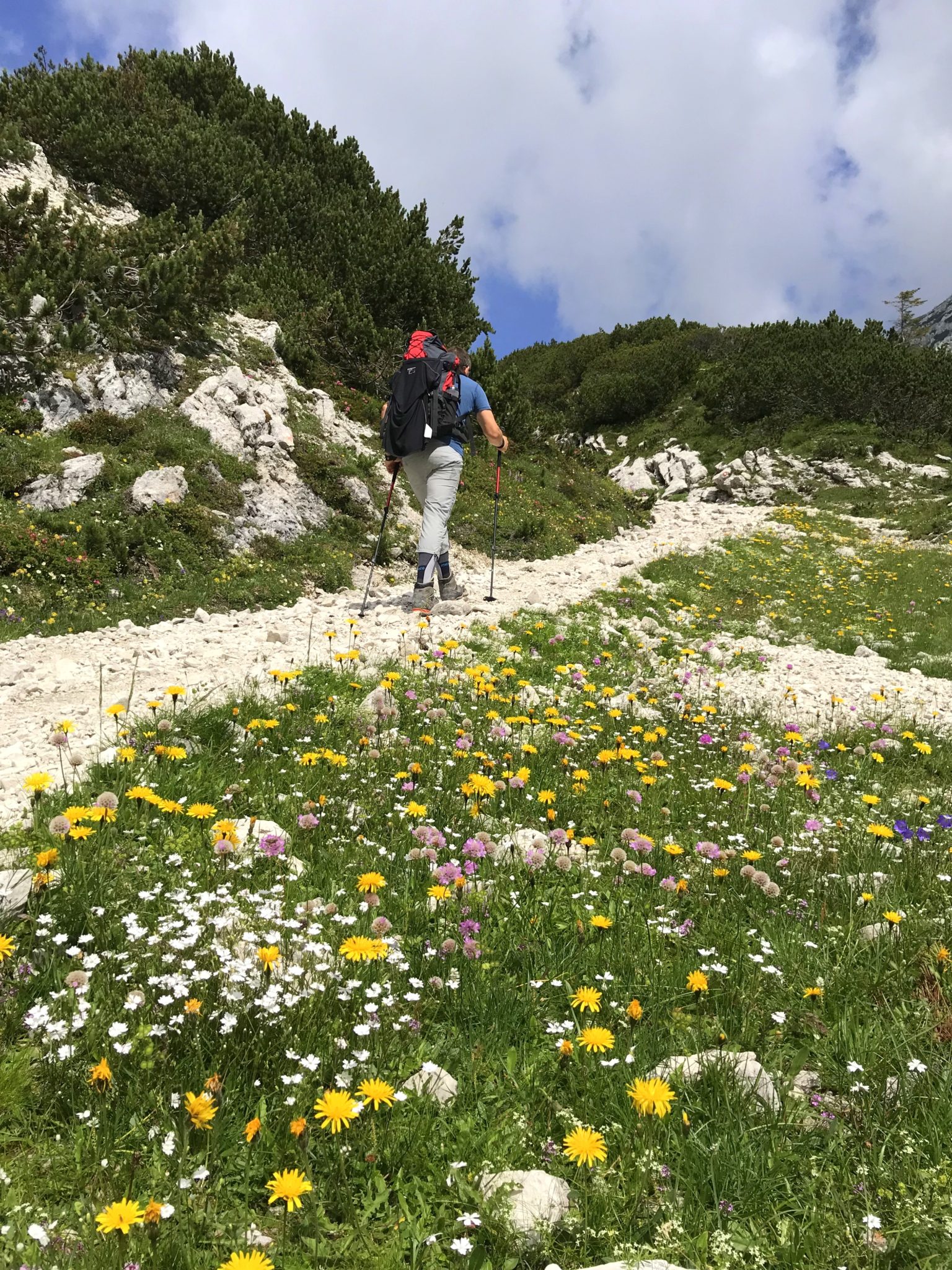 Hiking in the Kamnik-Savinja Alps, Slovenia