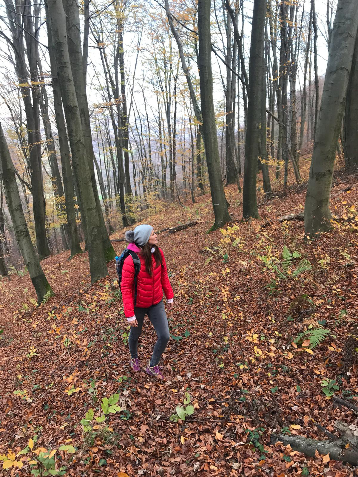 Hiking the Sremič Hill, hiking in Krško, Slovenia