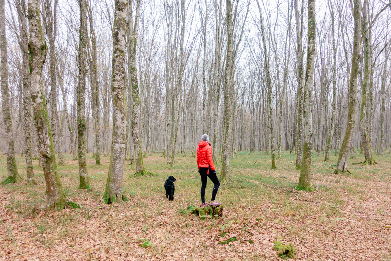 Hiking in Krško, Krakov Forest, Slovenia