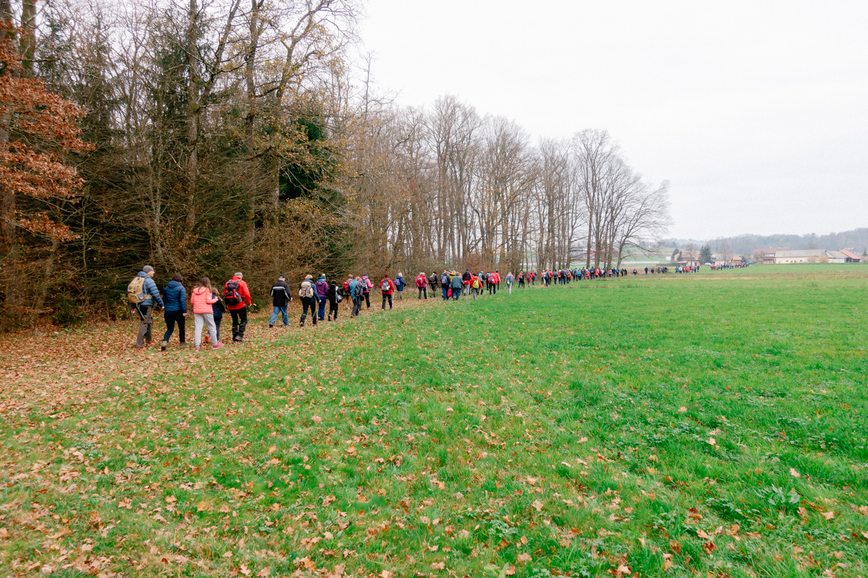 Č’bular Walk, Autumn Posavje Hiking Festival