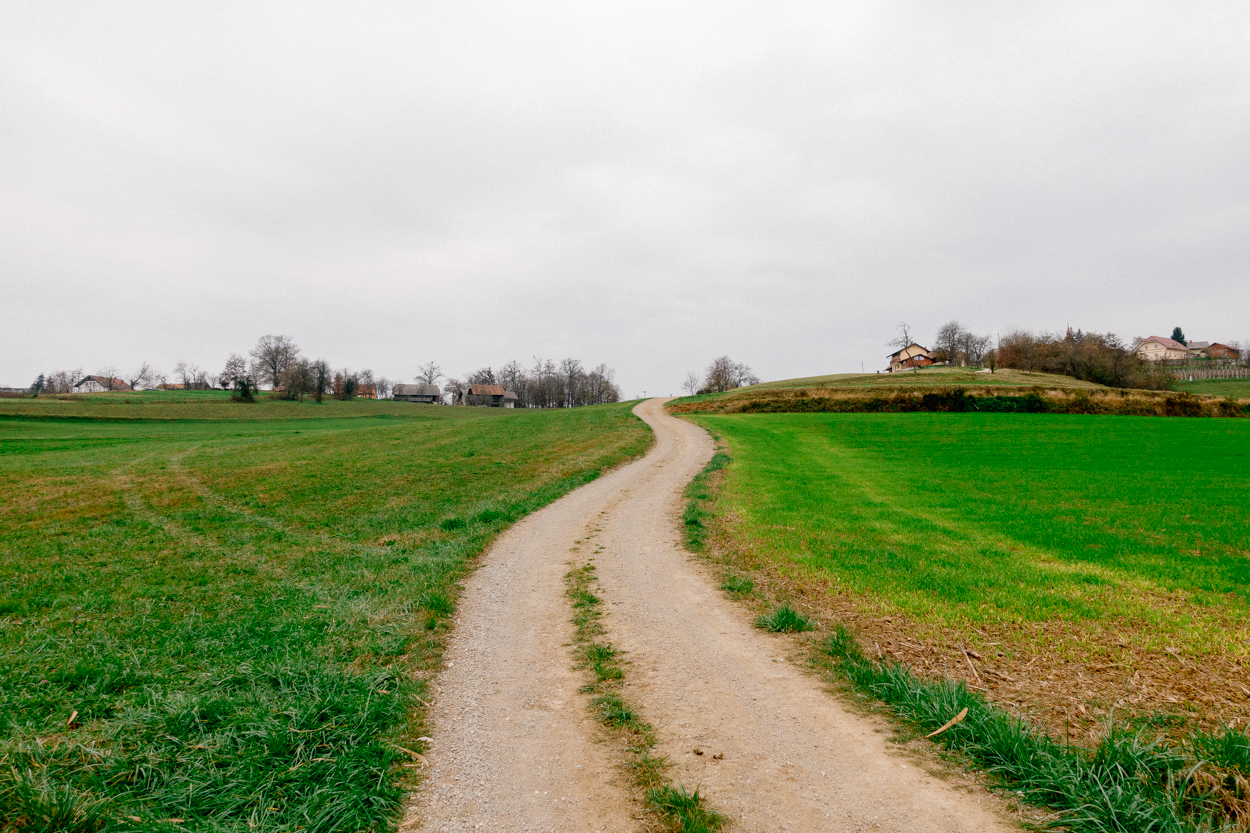 Krško countryside