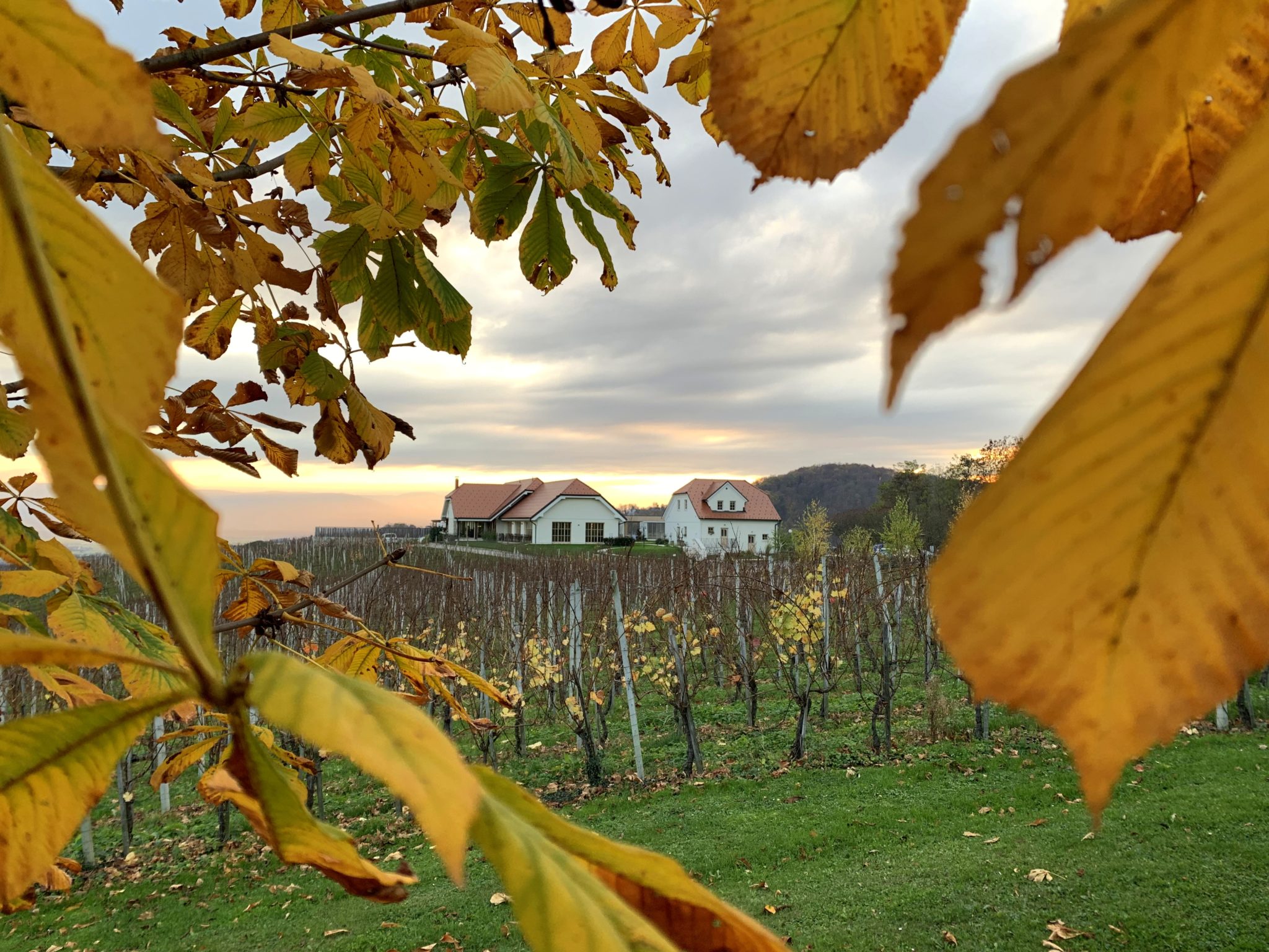 Tri Lučke, an excellent restaurant around Krško, Slovenia