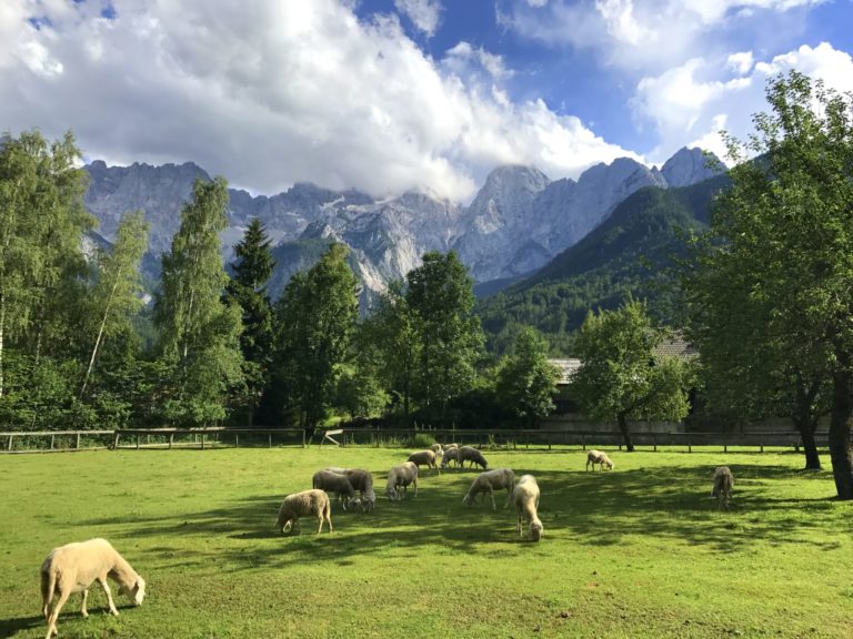 Martuljek Mountain Group as seen from Gozd Martuljek near Kranjska Gora, Slovenia