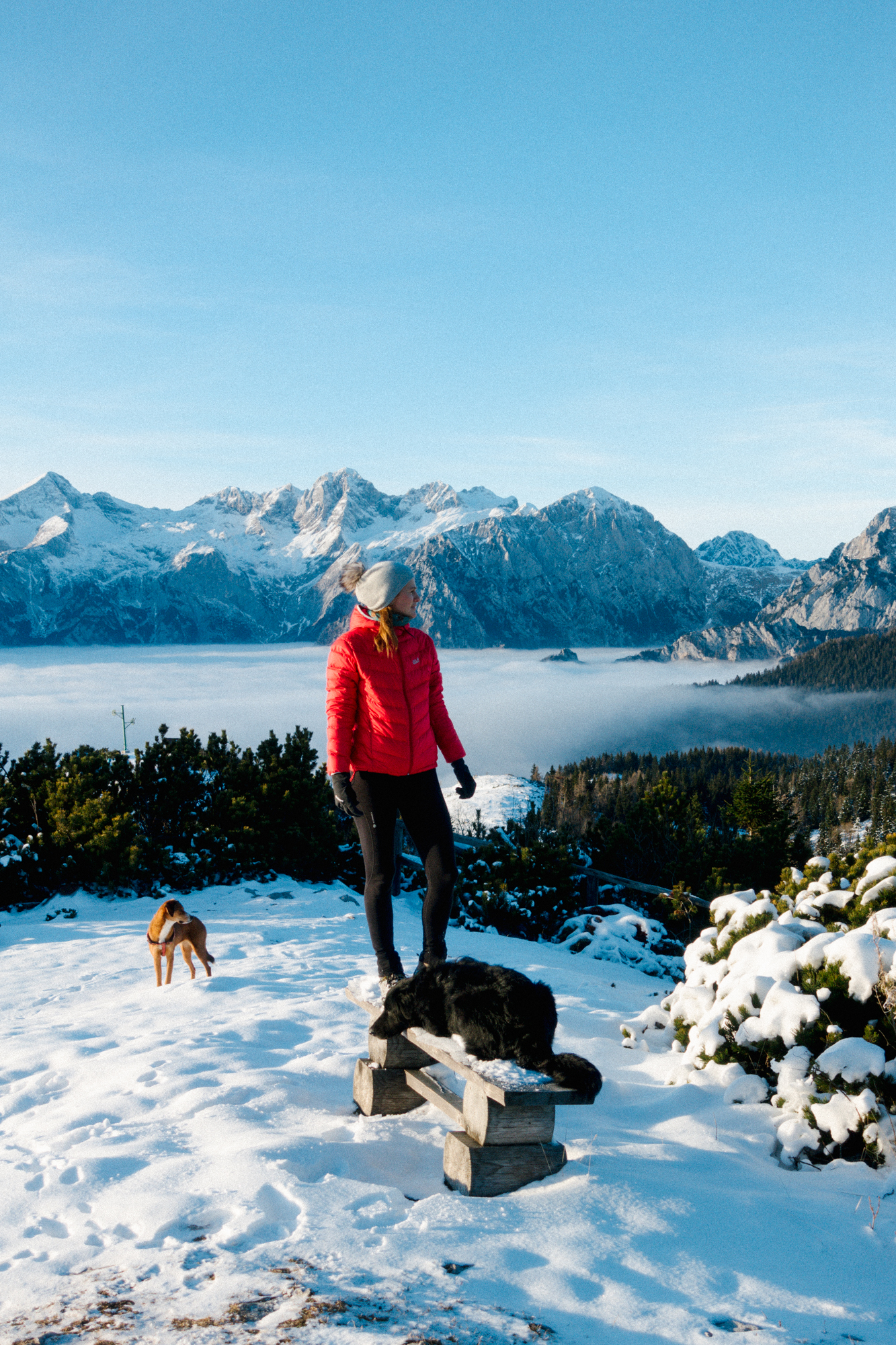 Hiking with dogs on Velika Planina, Visit Ljubljana, Slovenia