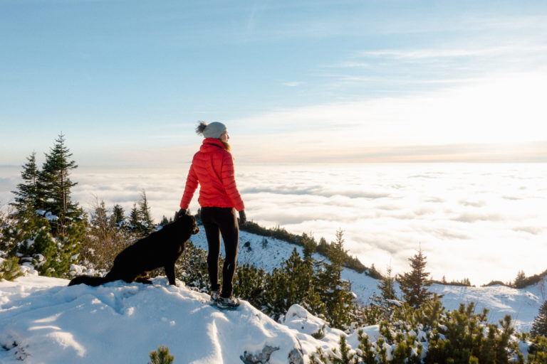 Hiking with dogs on Velika Planina, Visit Ljubljana, Slovenia