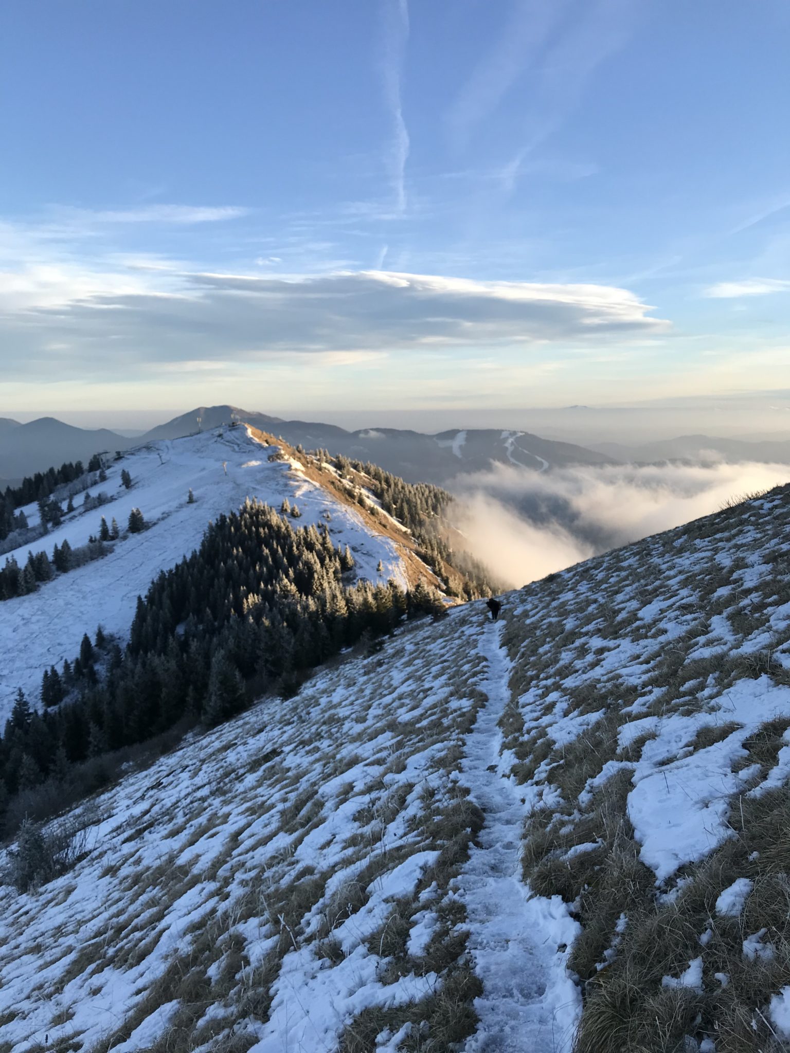 Ridge trail in Soriška Planina, Julian Alps