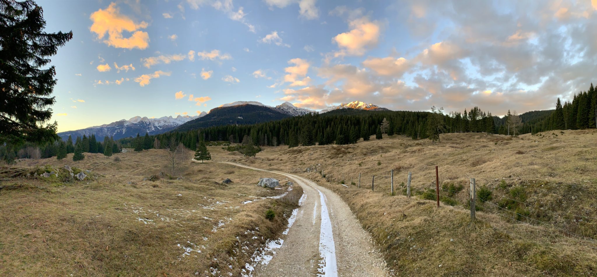 Pokljuka for sunset, Triglav National Park, Slovenia