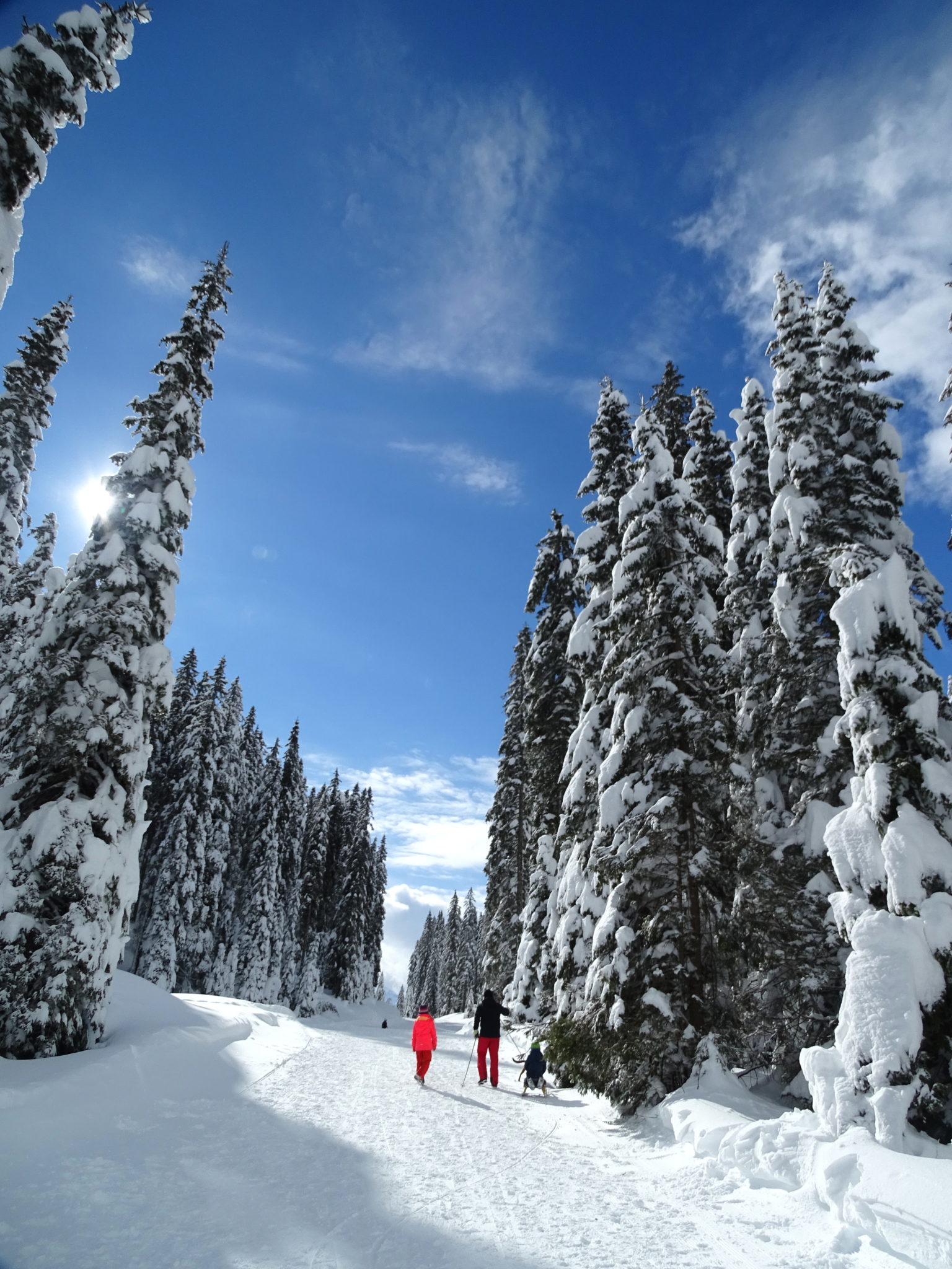 Hiking in Pokljuka, Triglav National Park, Slovenia