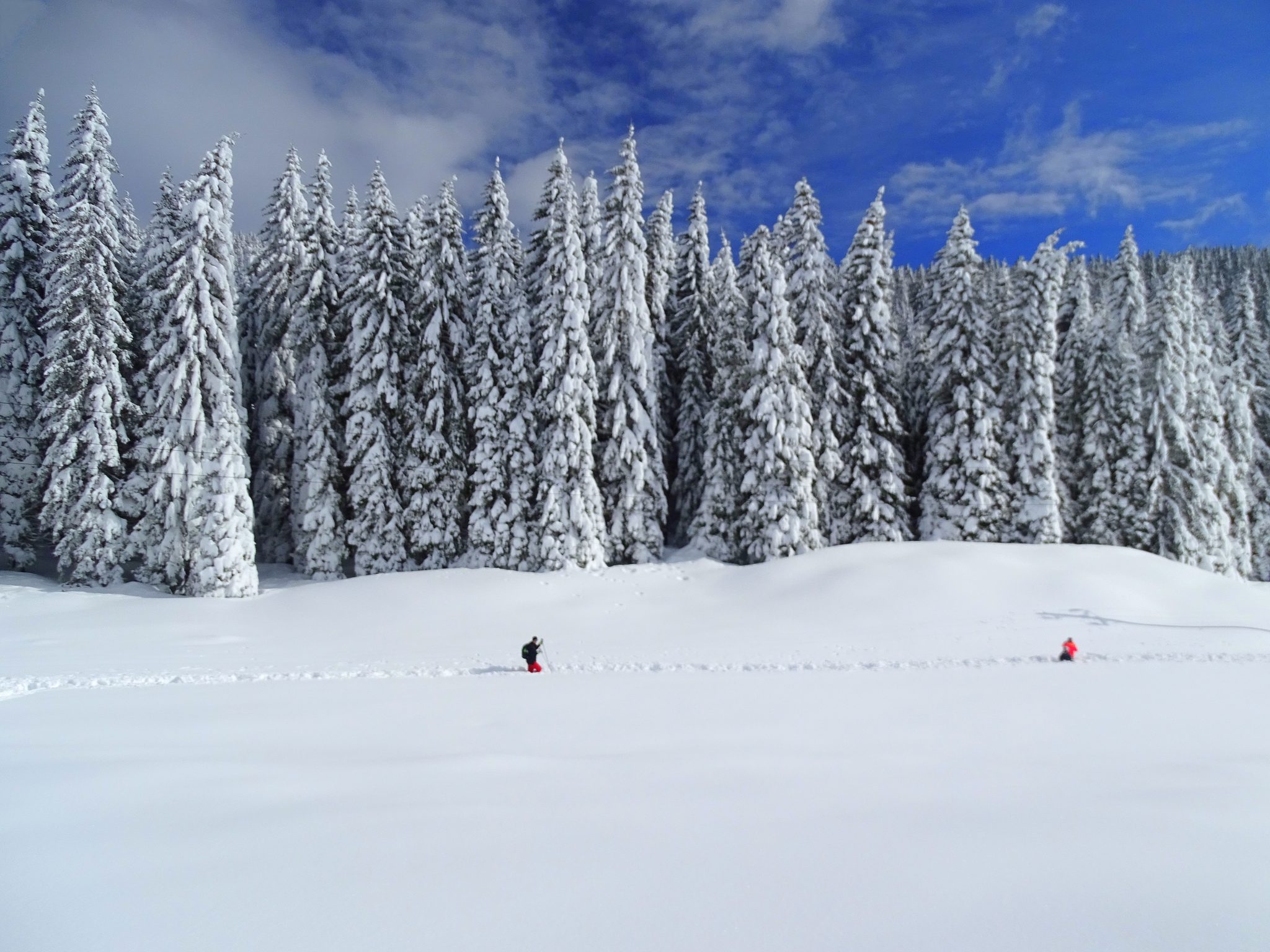 Hiking in Pokljuka, Triglav National Park, Slovenia