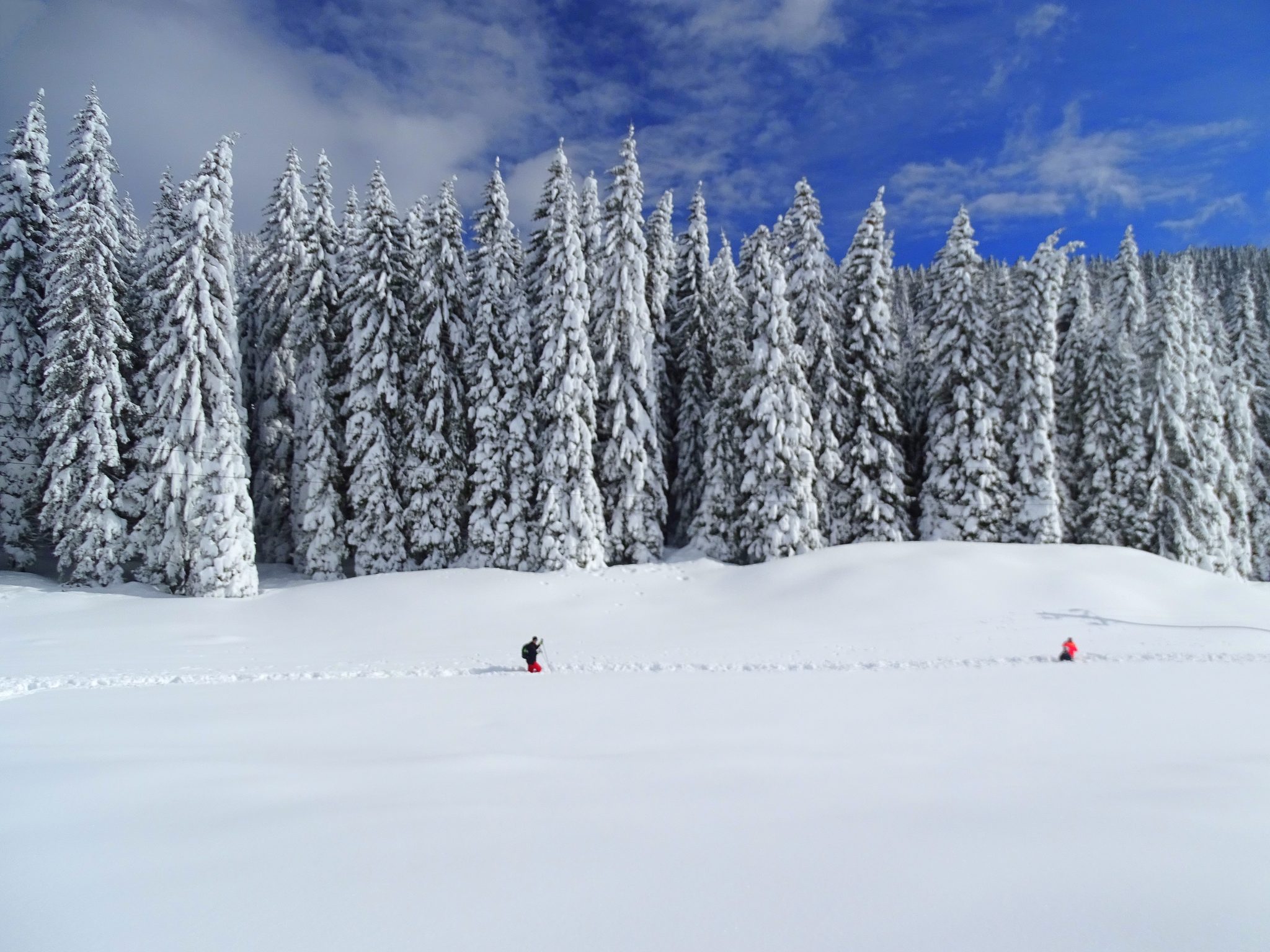 Hiking in Pokljuka, Triglav National Park, Slovenia