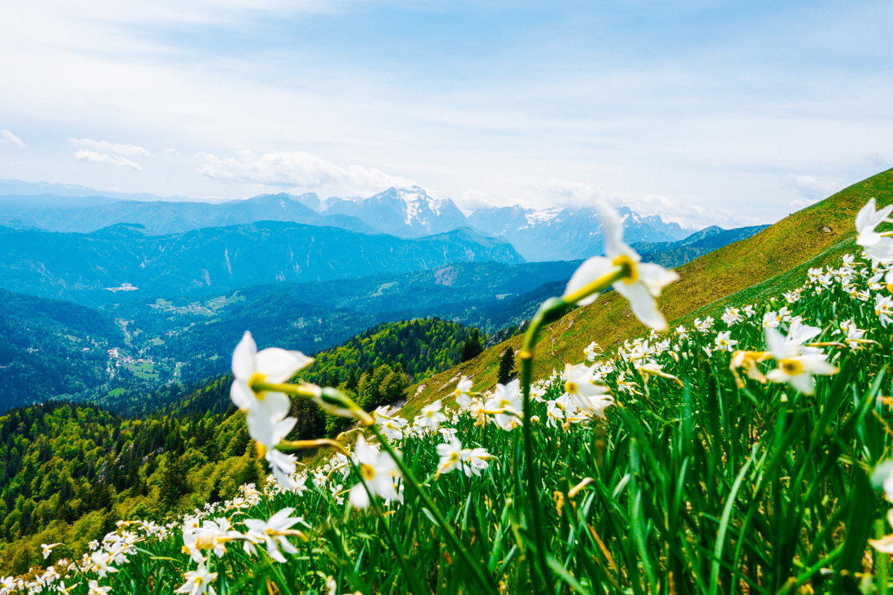 Golica Exploring Slovenia