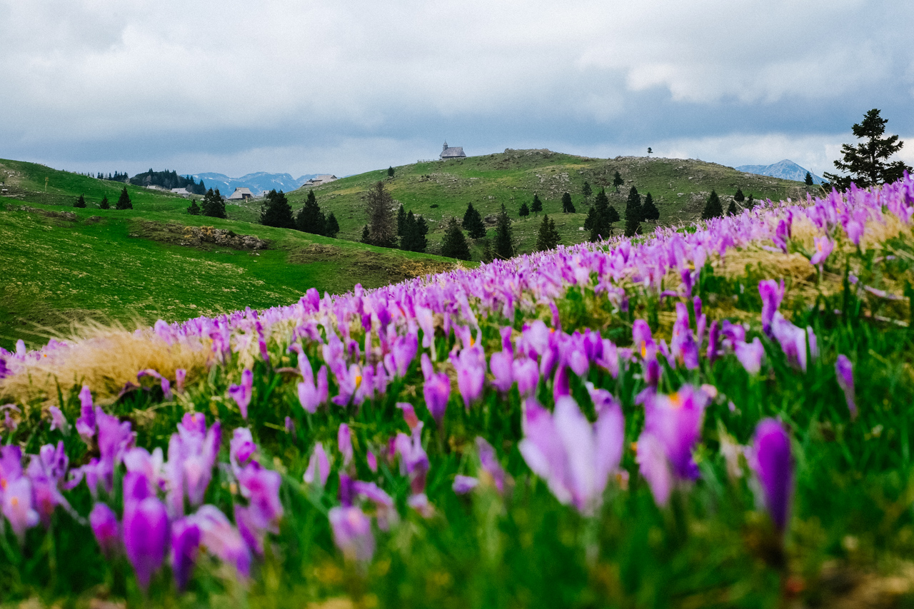 Velika Planina Exploring Slovenia