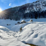 Hiking among Alpine pastures of Pokljuka